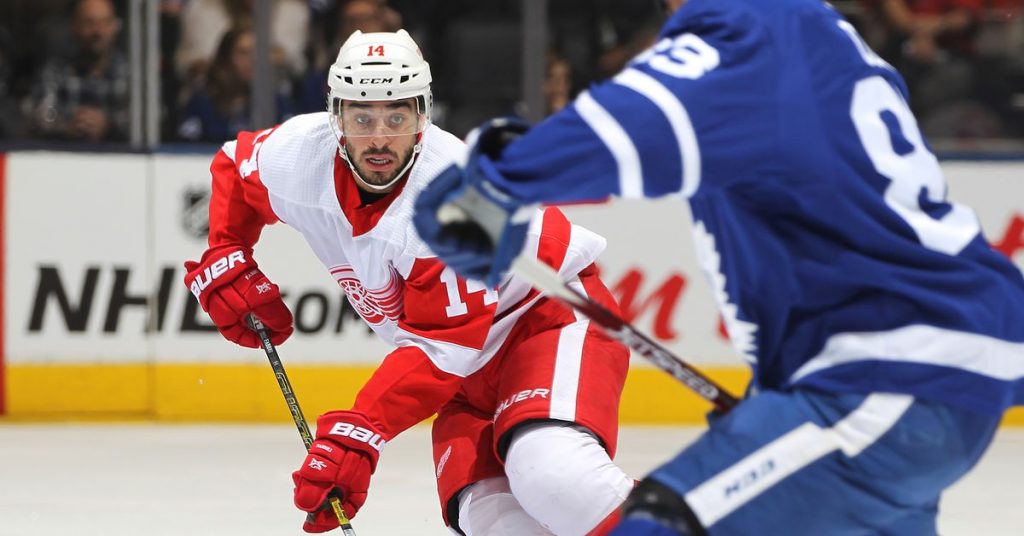 Wheel of Discipline lands on Robby Fabbri after Wings-Leafs game – Pension Plan Puppets