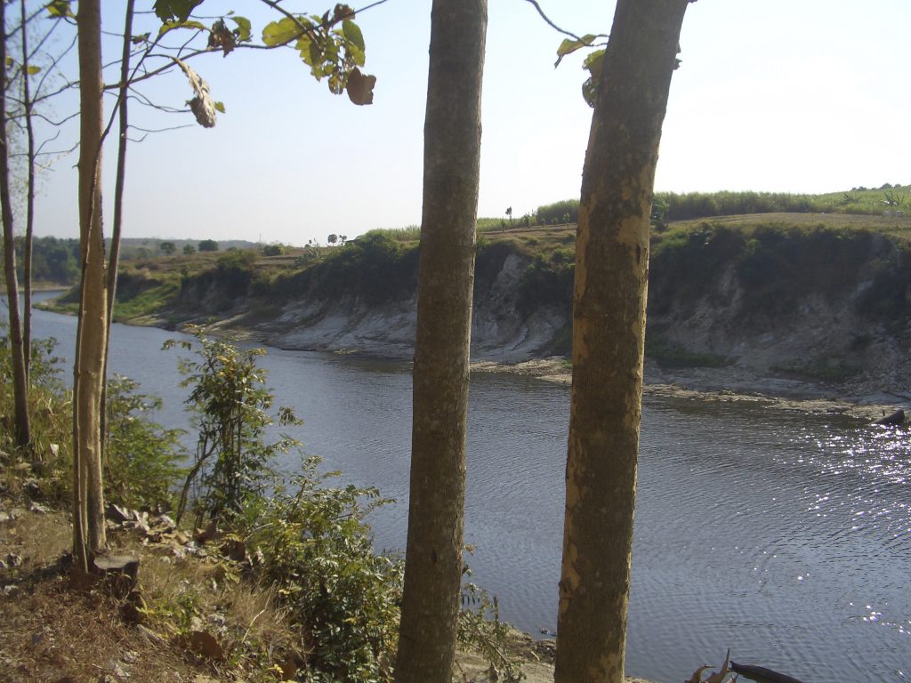 Scientists narrow age estimate for fossils of human ancestor – Rhyl Journal