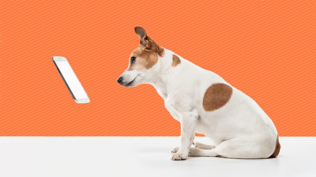 Using Social Media to Connect with Your Most Loyal Customers – Harvard Business Review