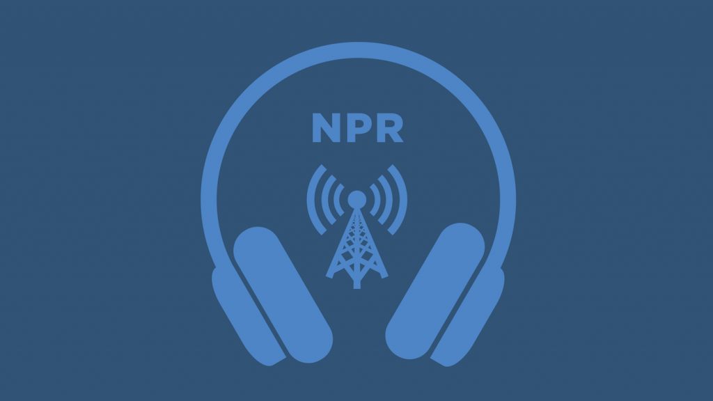 Politics Chat: Trump Extends Coronavirus Relief In Executive Order – NPR