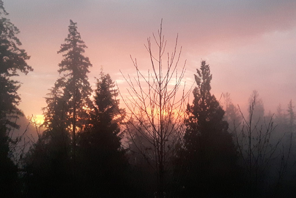 Stunning image tops more than 600 entries in Black Press Media contest – Peninsula News Review