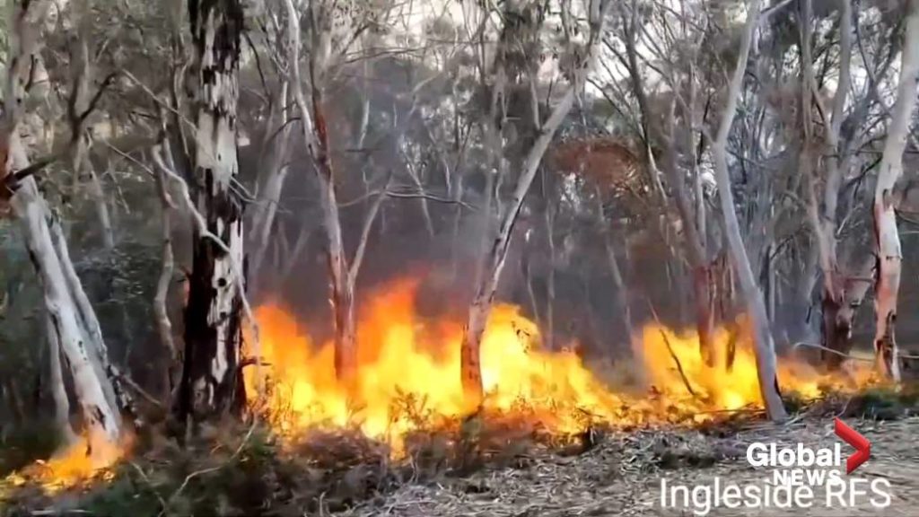 77 Canadians on their way to help Australia as wildfires rage on