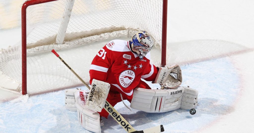 Toronto Maple Leafs news: Leafs make a trade with the Kings, add goalie and grit – Pension Plan Puppets