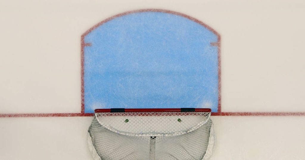 Maple Leafs recall AHL goaltender Kasimir Kaskisuo – Pension Plan Puppets