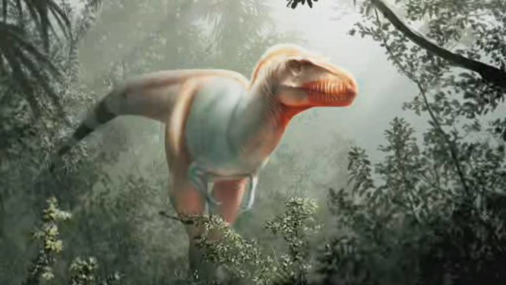 Rare dinosaur stomach fossil unearthed at Alberta oilsands site opens door to ancient world – Globalnews.ca