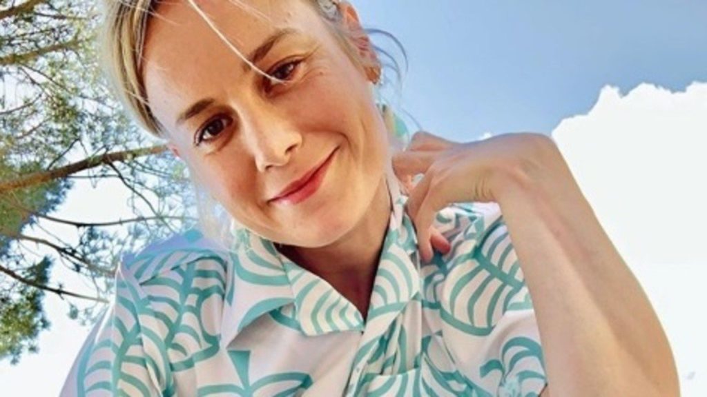 Random: Brie Larson Says She's More Than Happy To Be In An Animal Crossing Movie – Nintendo Life