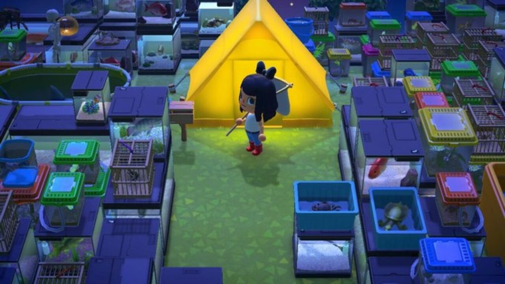 Animal Crossing Players Are Filling Up Their Islands With Bugs And Fish