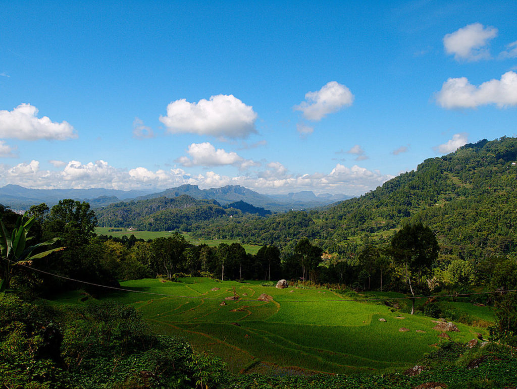 Itsy-Bitsy Indonesian Rocks Are Rewriting the History of Ancient Art – Atlas Obscura