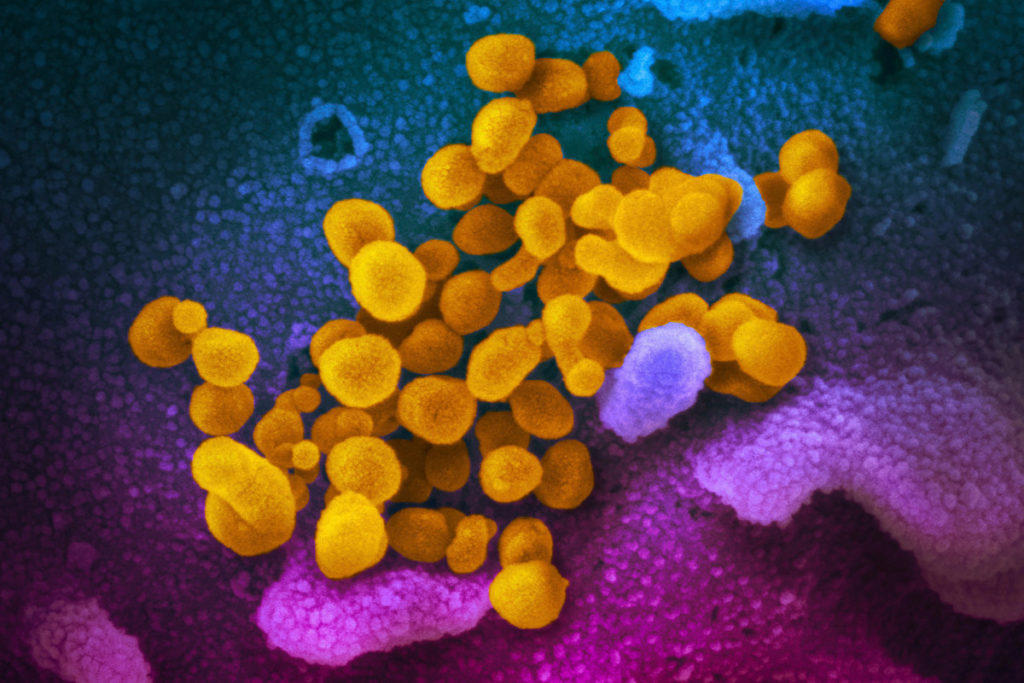 Don't believe these fake coronavirus stories on social media – New York Post