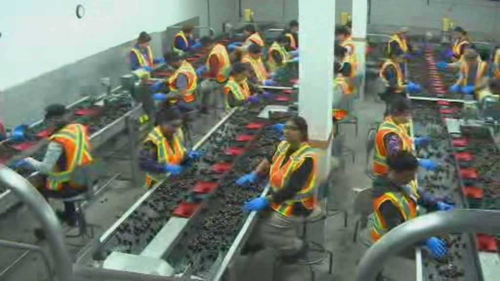 Trudeau announces .5 million for seafood, fish processors during coronavirus pandemic – Global News