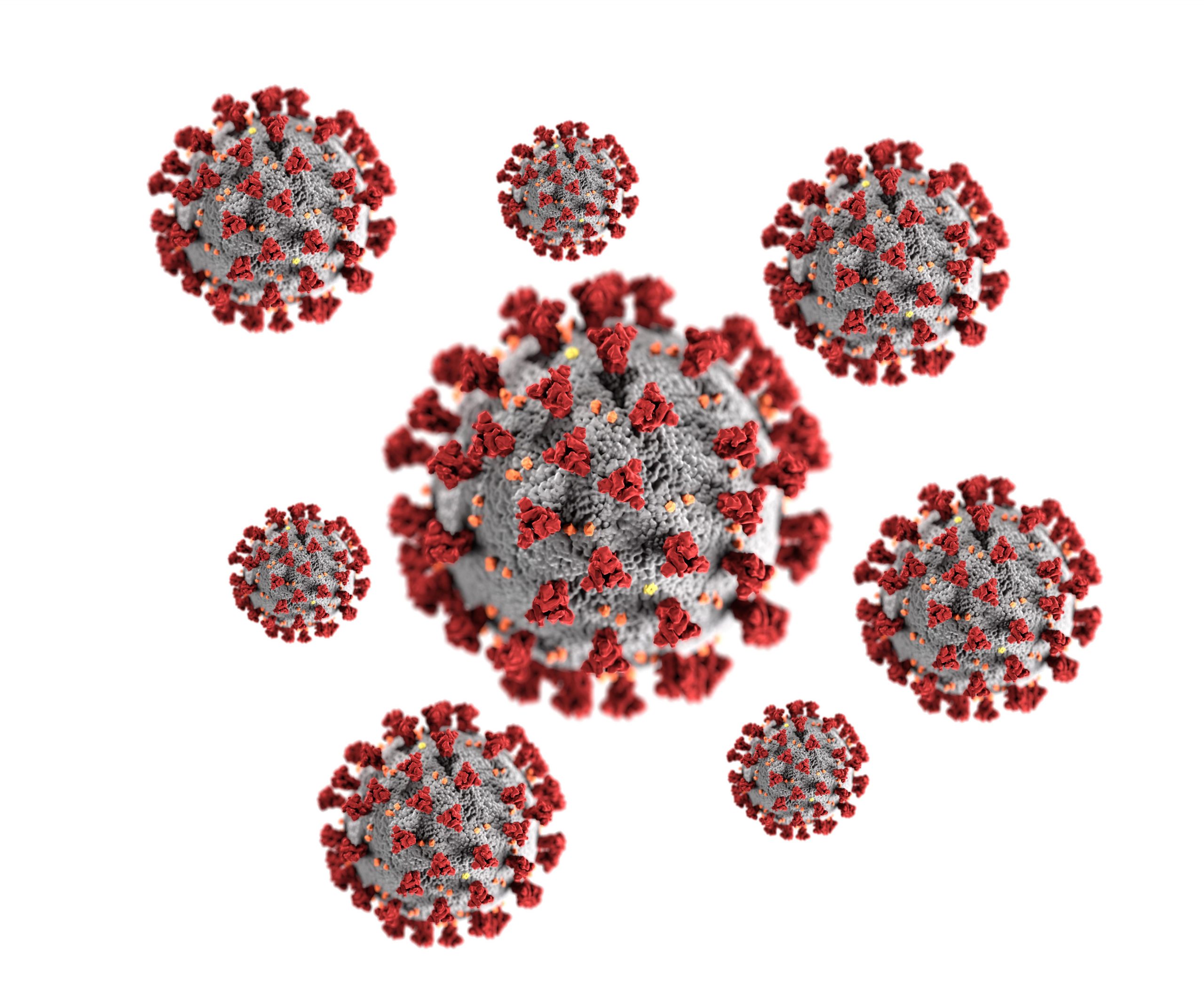 Омикрон коронавирус россия. Коронавирус Сарсков 2. Coronavirus antibody. Коронавирус модель вируса. Коронавирусы (подсемейство).