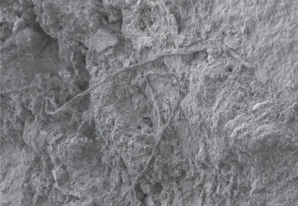 Archaeology: Ancient string discovery sheds light on Neanderthal life – HeritageDaily