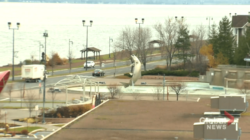 New Brunswick to hold surprise Sunday coronavirus press briefing – Globalnews.ca