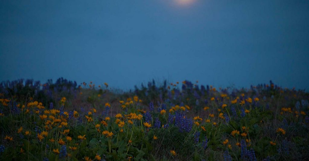 The Final Supermoon of 2020 Rises This Week — Here's How to See It – Travel + Leisure