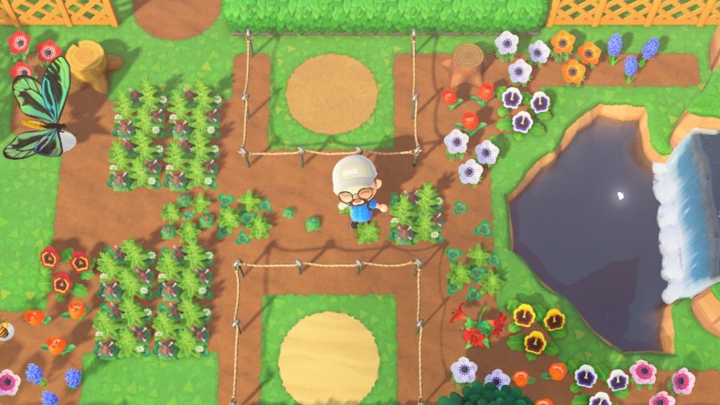 Animal Crossing: New Horizon island star system frustrates, limits fans – Polygon
