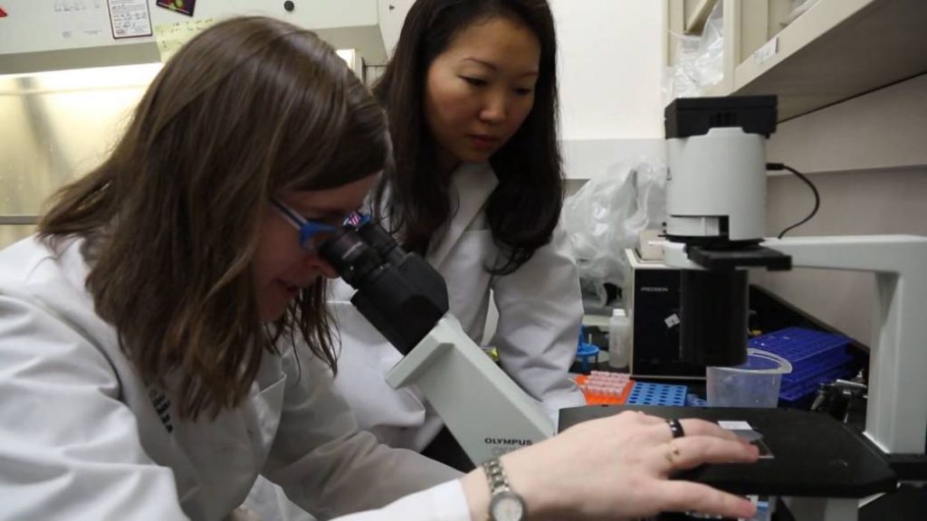 University of Waterloo researchers using social media to predict disease outbreaks – Globalnews.ca