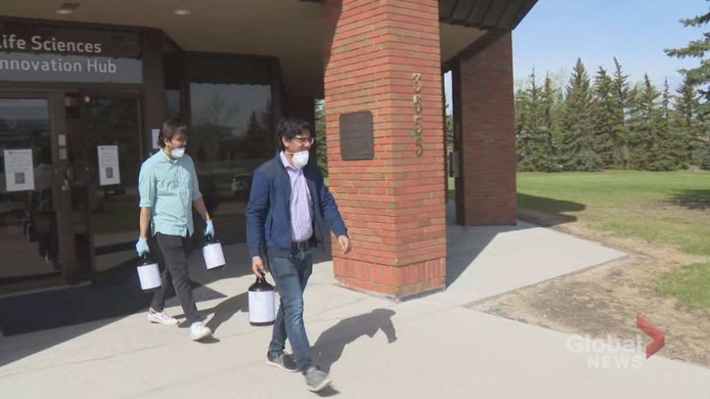 Health Canada recalls some hand sanitizers over industrial grade ethanol content – Globalnews.ca