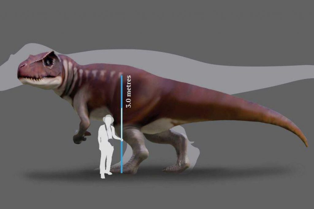 'Badass dinosaur': Australia's largest theropod identified by its footprints – CNET