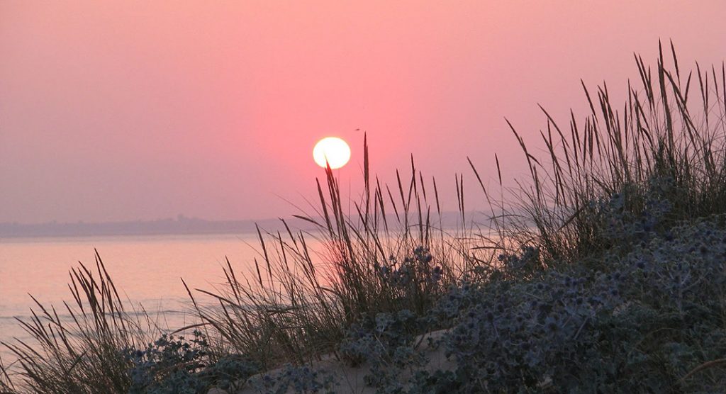 The June 2020 Night Sky – Portugal Resident