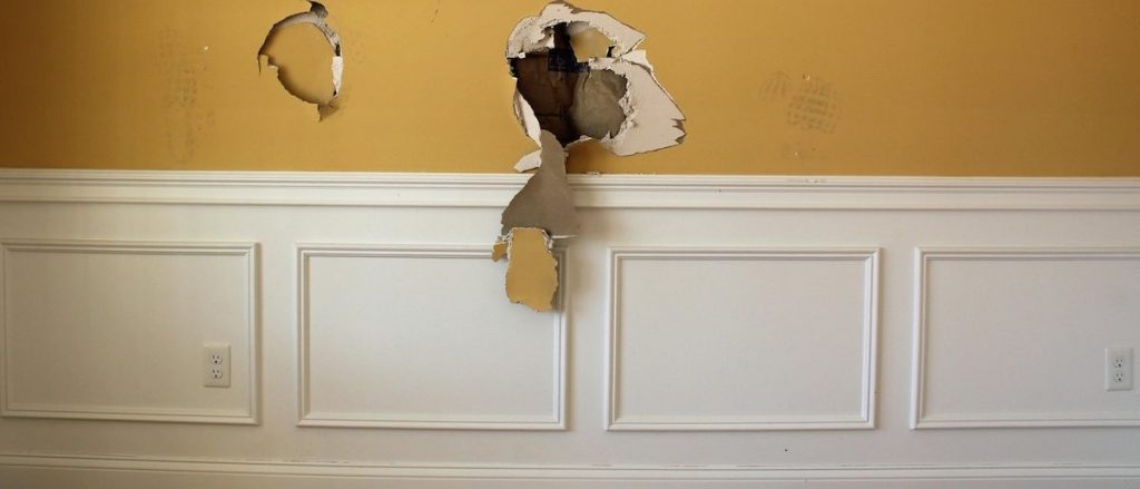 Canadian CDC Gives Thumbs Up To ‘Glory Holes’ During Pandemic – Daily Caller