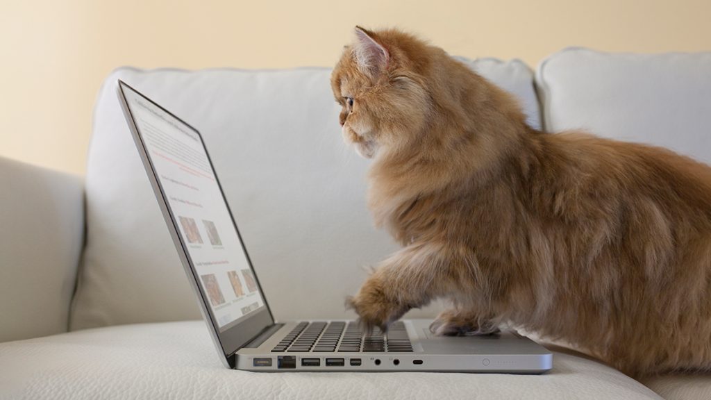 How to Get More from Your Social Media Partner – Harvard Business Review