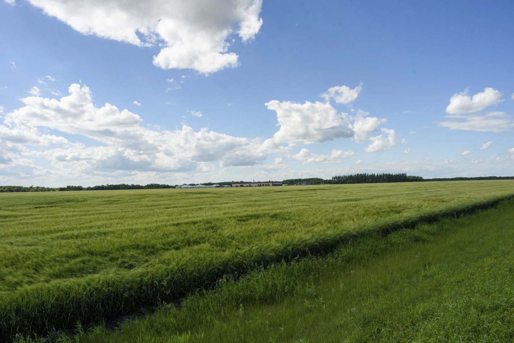 Two Manitoba Hutterite colonies enter voluntary COVID-19 lockdown – Winnipeg Free Press