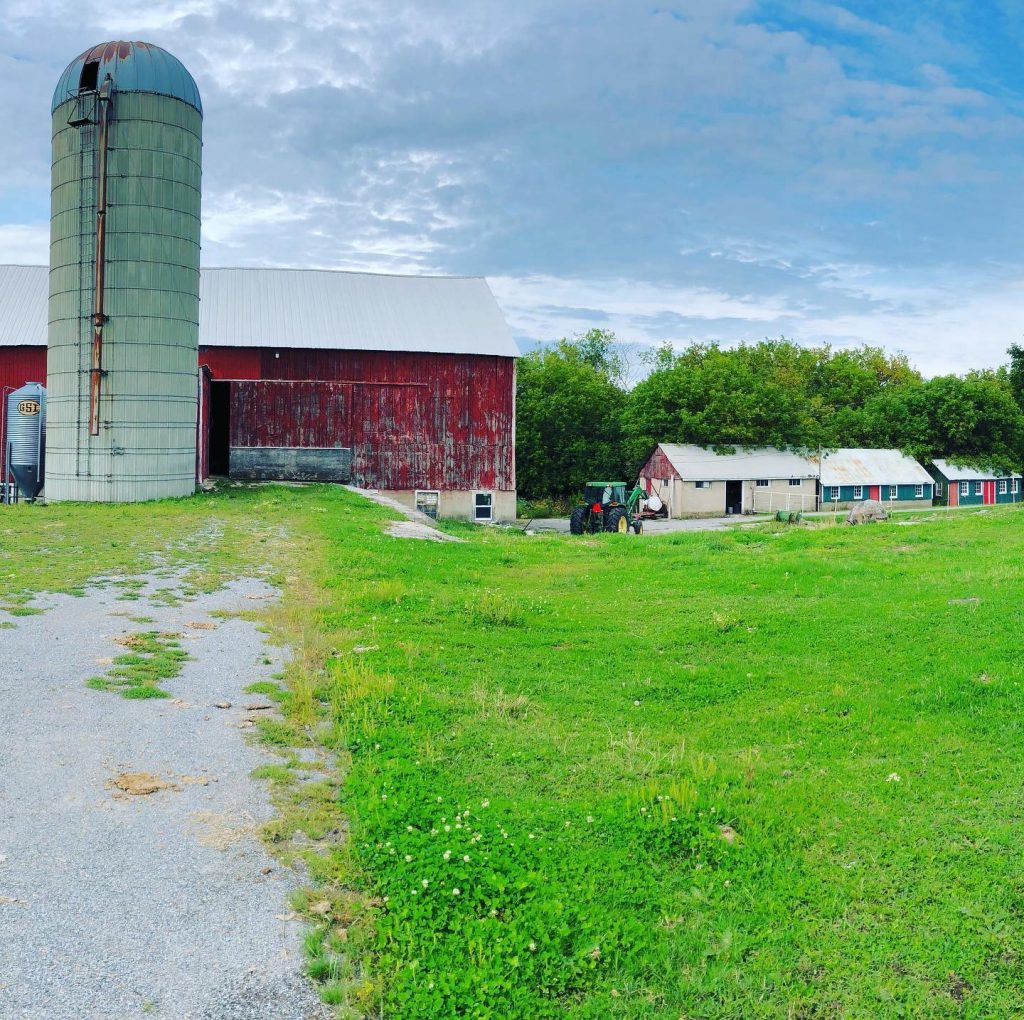 Pop Up Art Show and Sale at Glocca Morra's Big Red Barn – Kingstonist