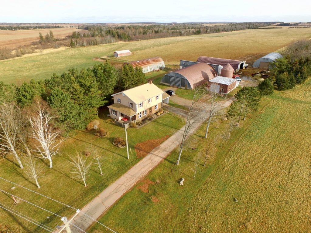 COVID-19 era creating hot real estate market, sellers focusing on renos, staging – TheChronicleHerald.ca