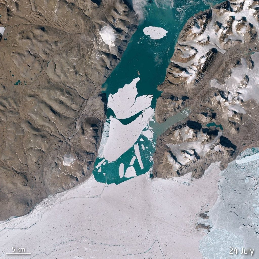 Arctic summer sea ice 2nd lowest on record, but why care? | Daily Sabah – Daily Sabah