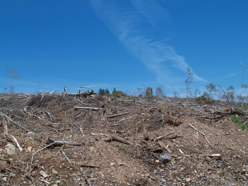 Keep the travel restrictions – Halifax Examiner