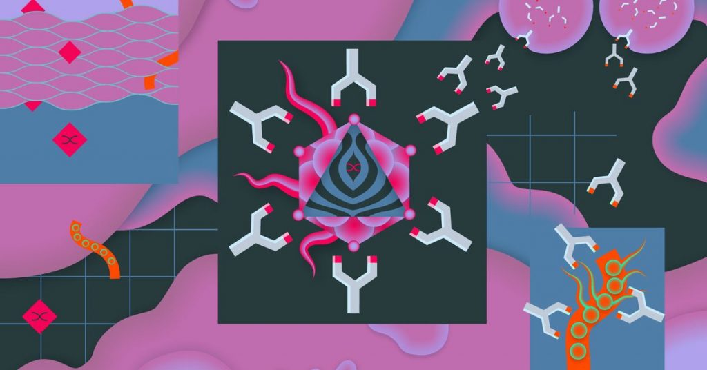 Averting a COVID-19 vaccination crisis will take careful communication – The Verge