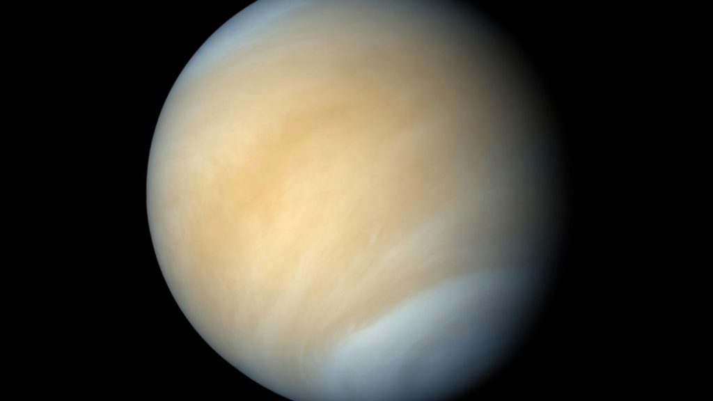 Is there really life on Venus? How do we find out? – CityNews Winnipeg