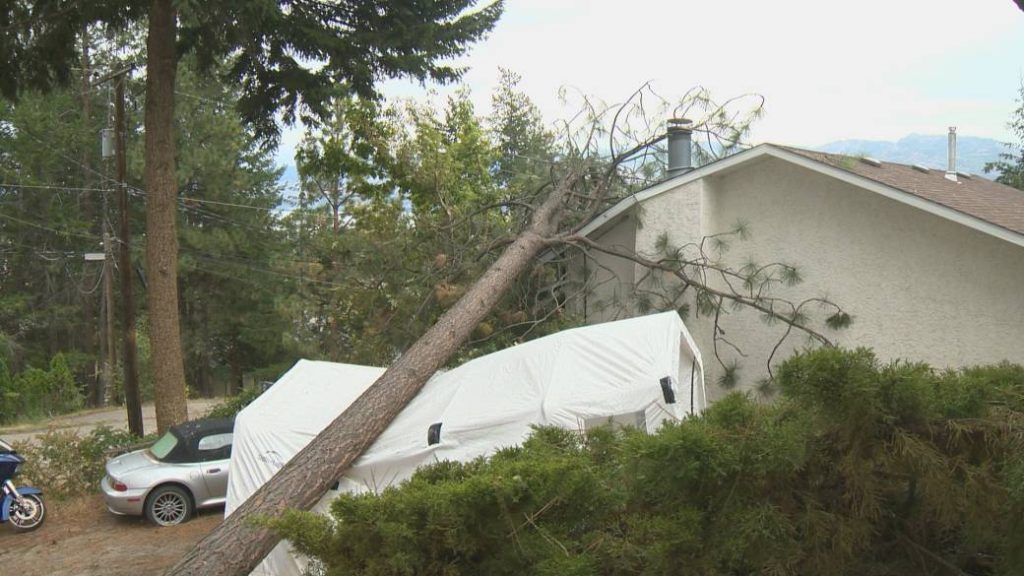 Climate activists demanding quick transition to a green economy in Quebec – Global News