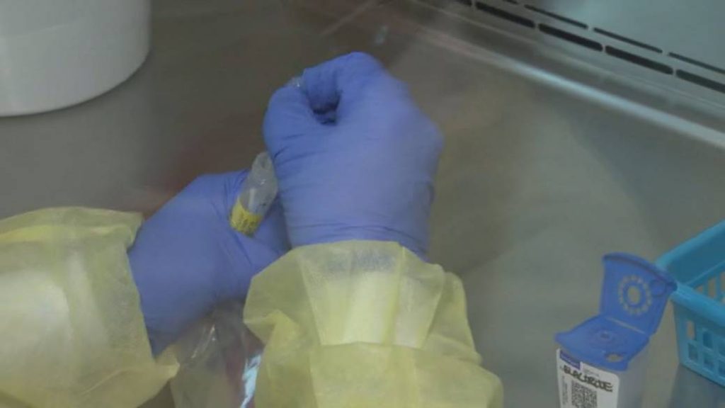 2 new COVID-19 outbreaks in London, Ont.; 3 new cases Elgin Oxford – Global News