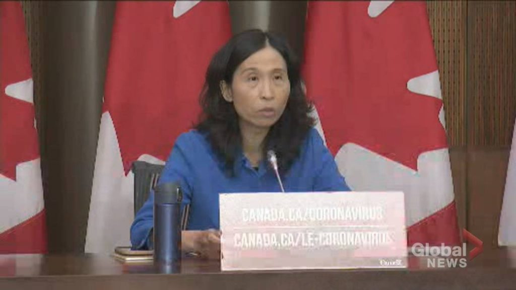 Ottawa Public Health reports 81 new coronavirus cases – Global News