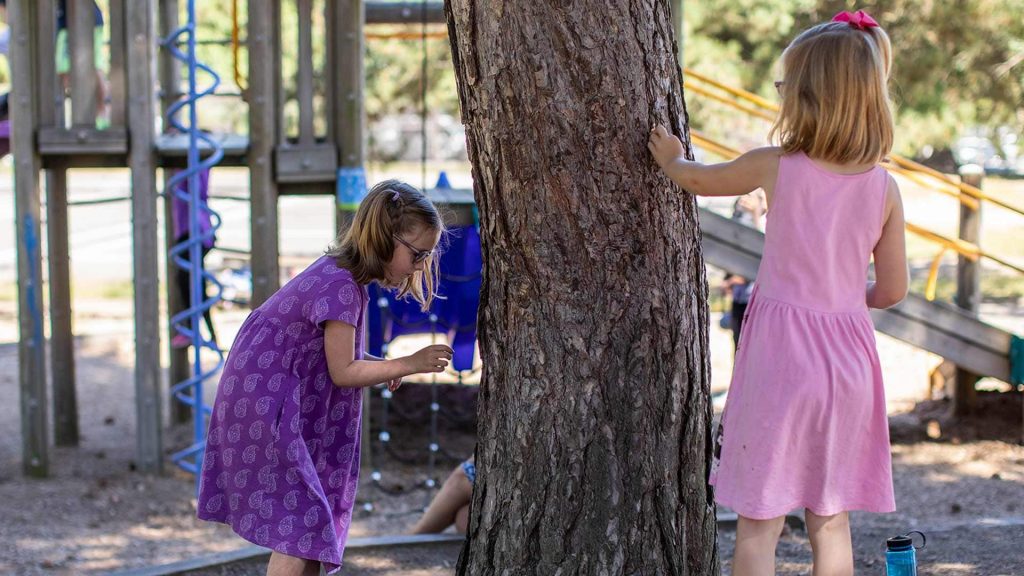 COVID-19 takes toll on physical health of young Canadians, scientists, school board find – CBC.ca