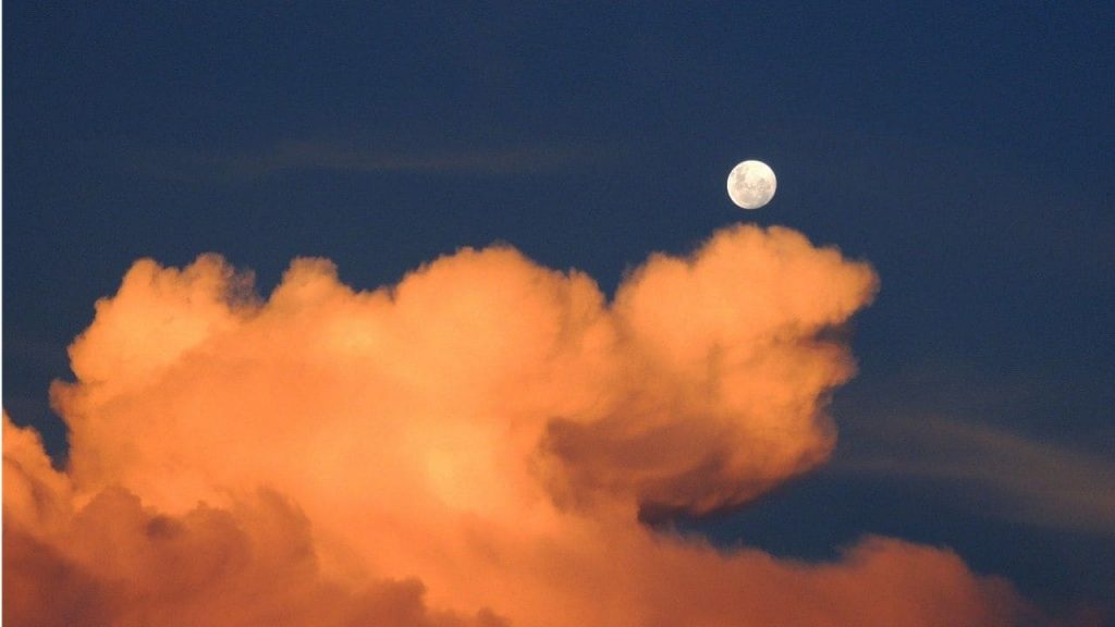 The night is warming at a faster rate than daytime and could prove detrimental for many species: Study – Firstpost