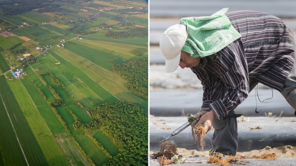 They were ready to start a new life in Canada, then the coronavirus struck – Global News