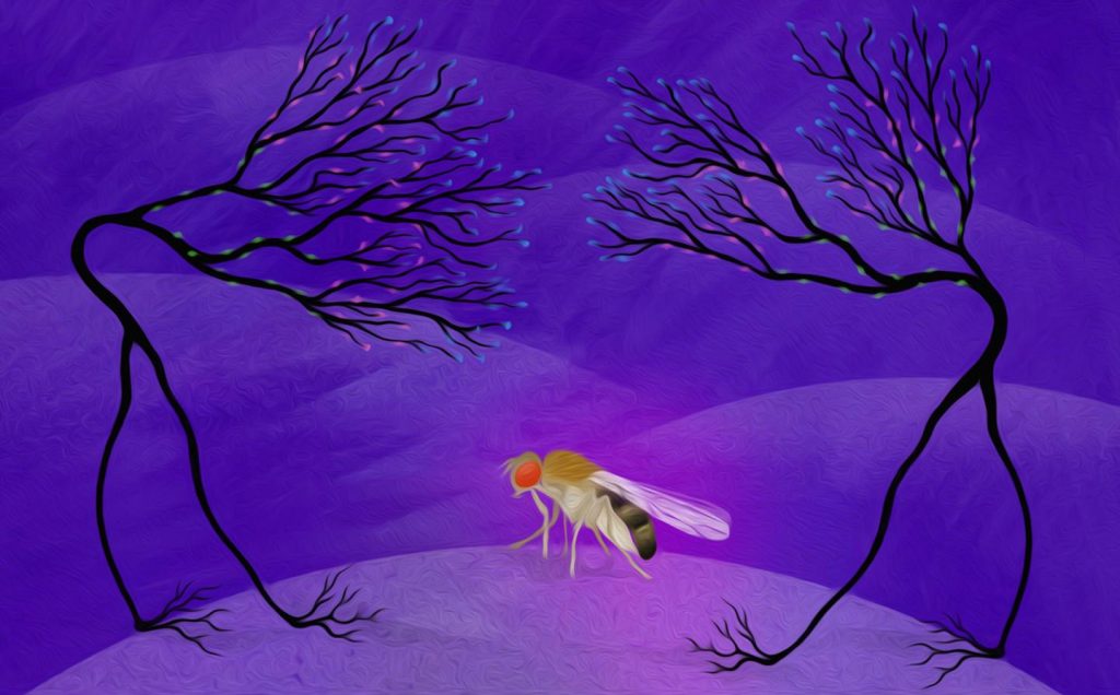 The protein dress of a neuron – EurekAlert