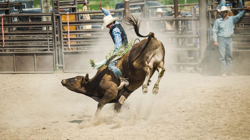 These money and investing tips can help you ride the stock market’s year-end momentum – MarketWatch