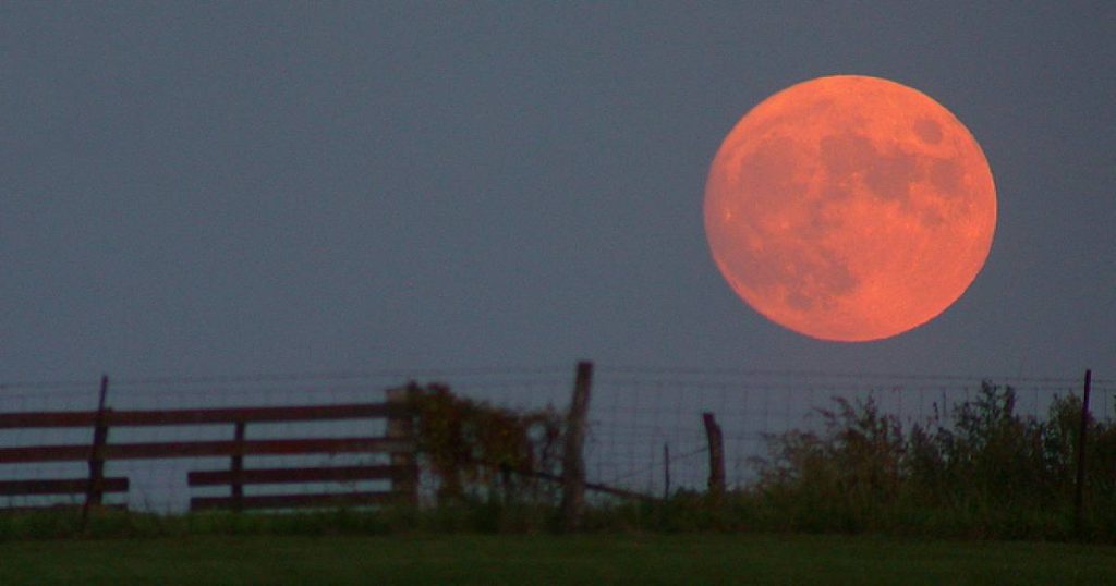 Beaver moon eclipsed by Earth's shadow tonight | Georgia Straight Vancouver's News & Entertainment Weekly – Straight.com