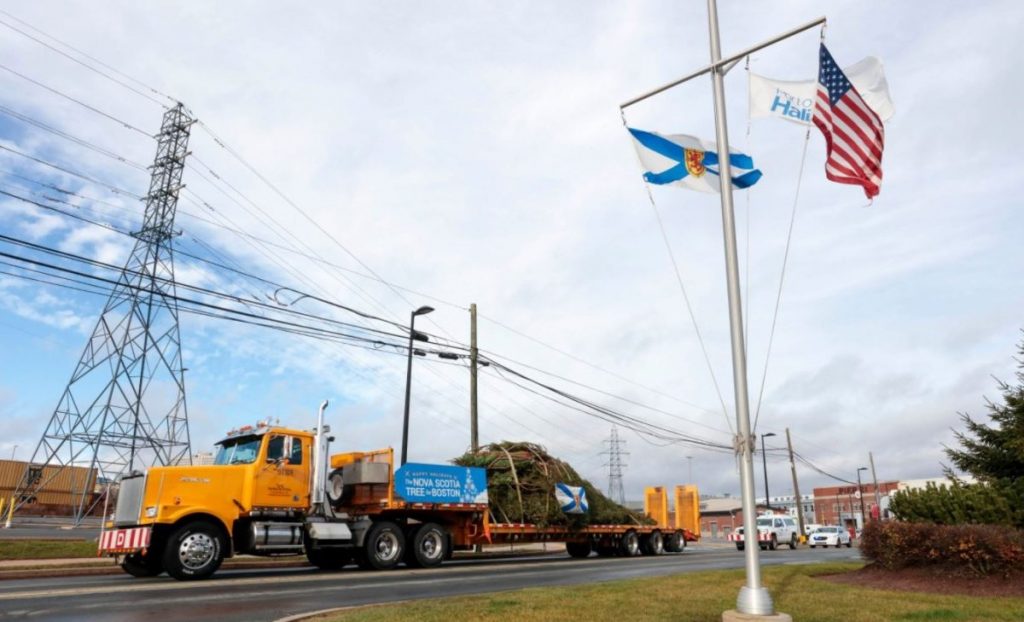 Nova Scotia’s Tree for Boston to be lit Thursday night – Global News