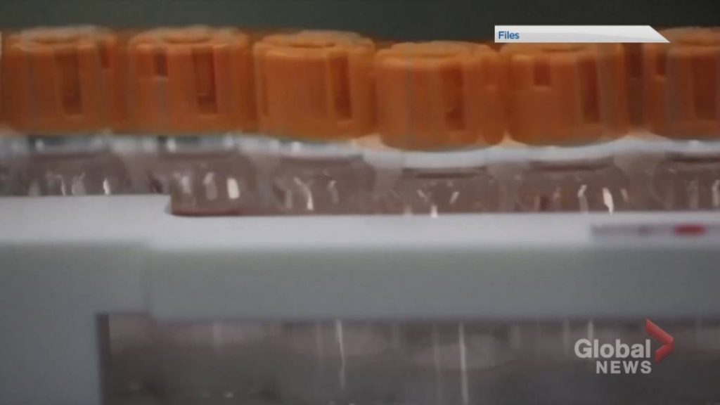 Here’s a look at what provinces, territories have said about coronavirus vaccine rollout – Global News