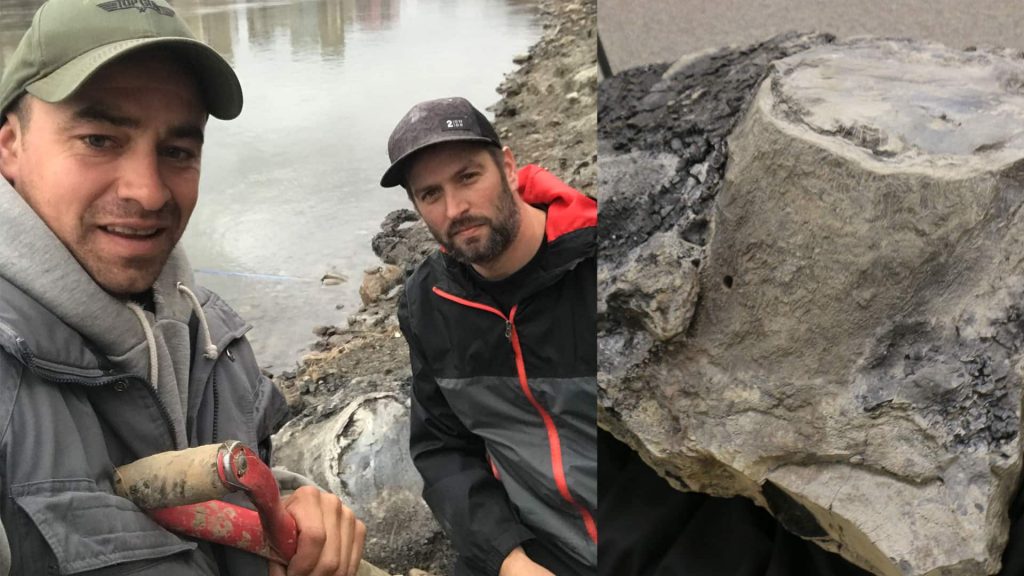 From extension cords to a homemade barge, two Edmonton buddies try everything to extract a petrified stump – CBC.ca