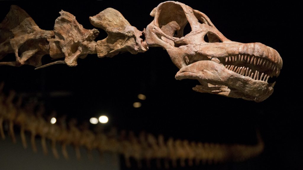 Four-Year-Old Girl Discovers 220 Million-Year-Old Dinosaur Footprint at a Beach in Wales – NBC Bay Area