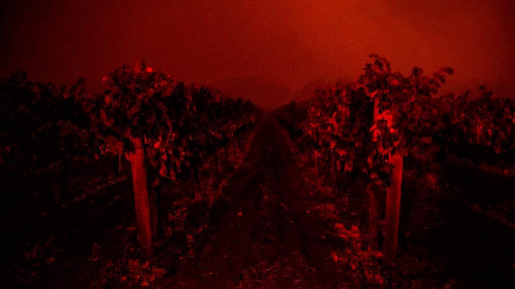 How pandemic lockdowns cleaned the air but resulted in a warmer planet – CBC.ca