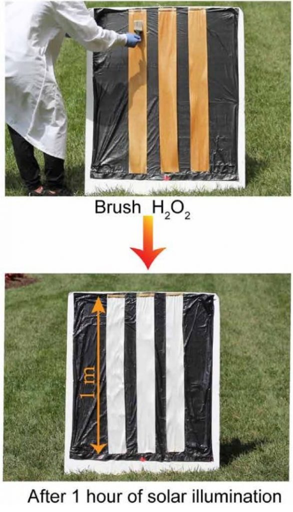 Scientists develop transparent wood that is stronger and lighter than glass – CBC.ca