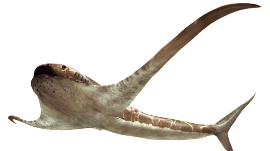 Ancient species called Eagle sharks lived 93 million years ago, predated manta rays – Firstpost