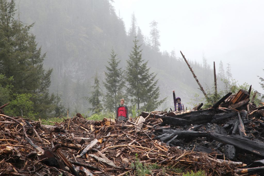 British Columbia grants indigenous request to defer old-growth logging