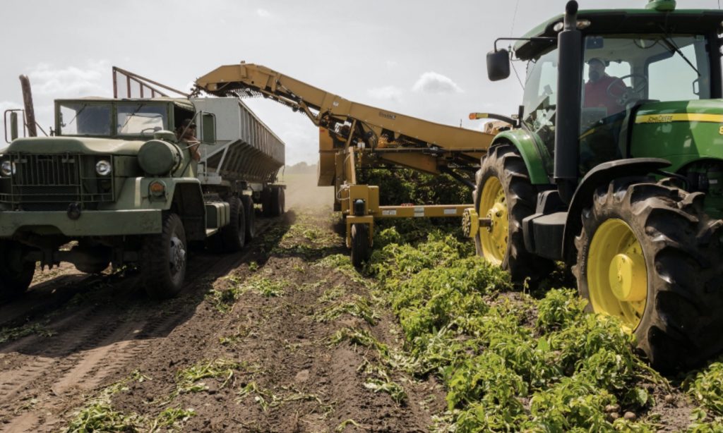 Emerging Markets Offer Big Investment Opps for ESG-Focused Investors, Report Says – Environment + Energy Leader